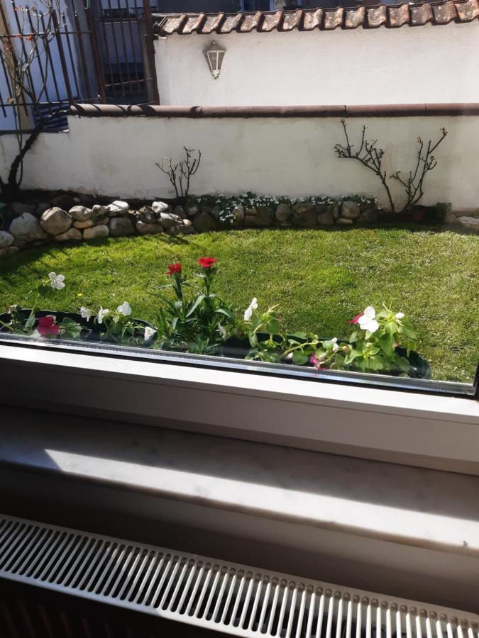 Apartman Mitic Pozarevac Exterior photo